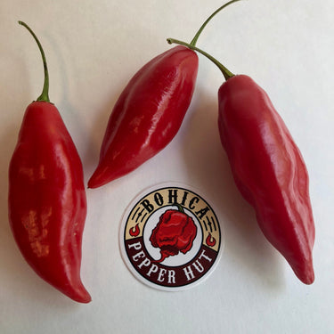 Habanero Paper Lantern - Seeds - The Pepper Pantry (Formerly Marie Sharp's)